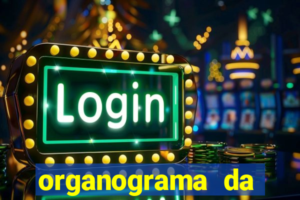 organograma da cacau show