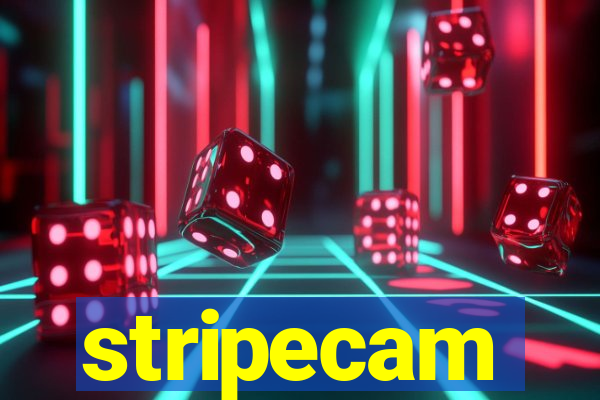 stripecam