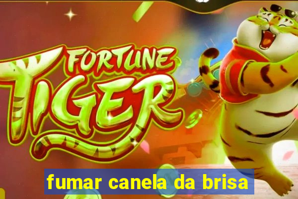 fumar canela da brisa